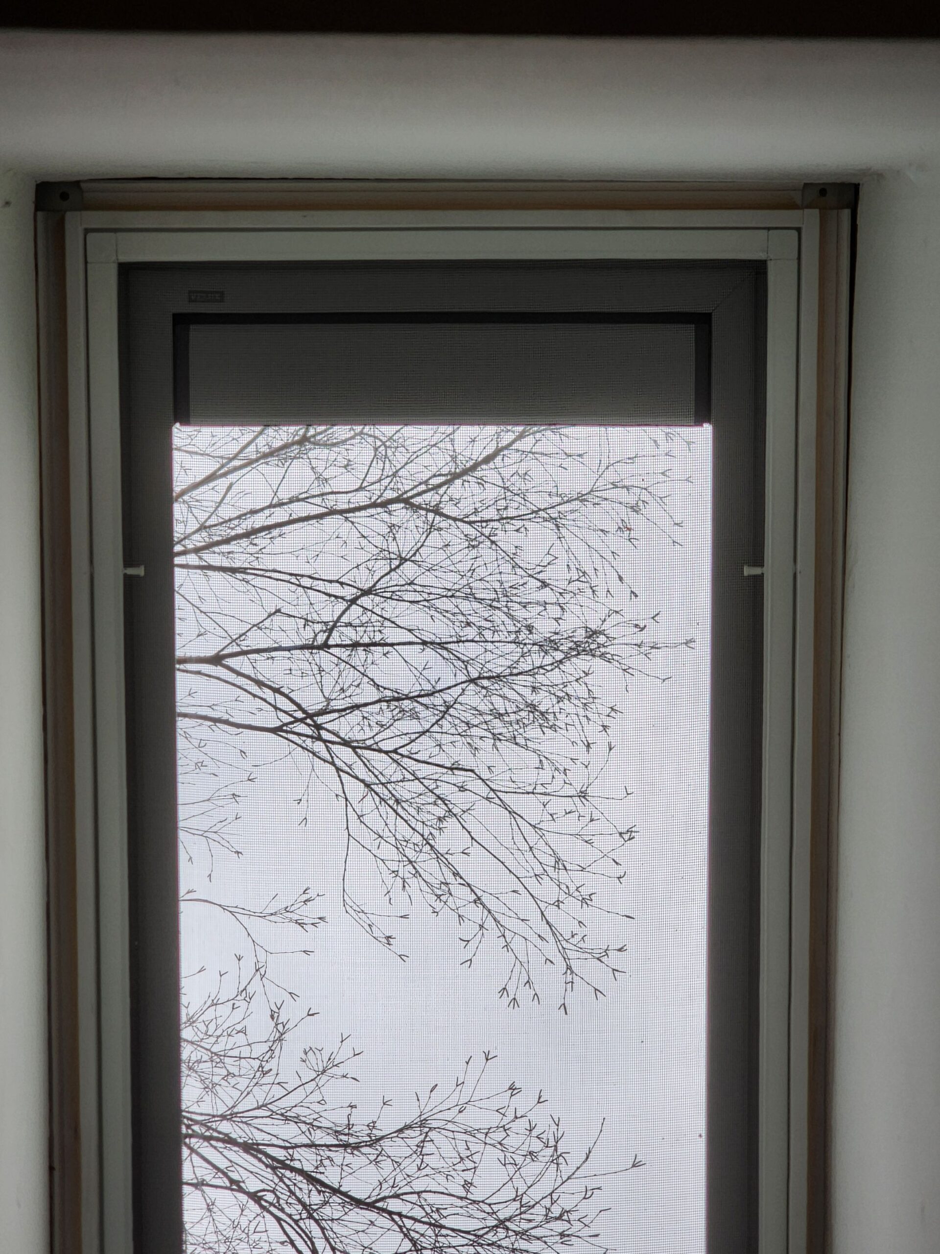 13-Mar 28 2025 10_07am-cthC