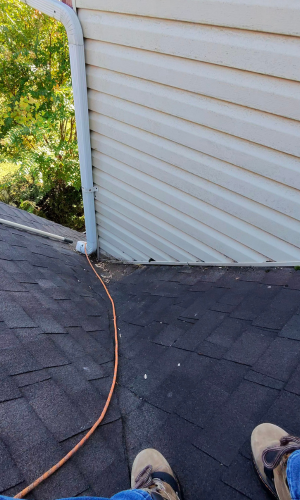 Roof Inspection Found Algae Growth
