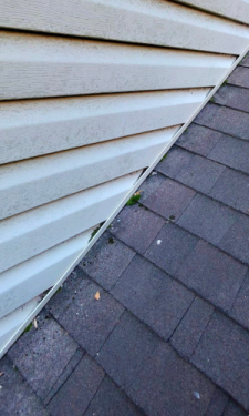 Roof Inspection Found Algae Growth