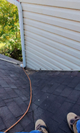 Roof Inspection Found Algae Growth