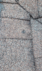 Roof Inspection Found Hail Damage
