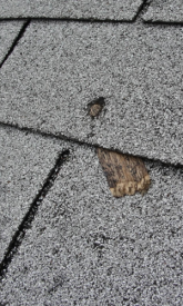 Roof Inspection Found Nail Pops